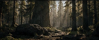 Atmospheric woodland artwork